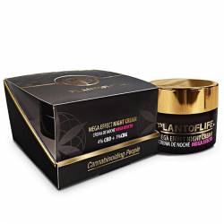 CBD creme de nuit visage - Plant of Life