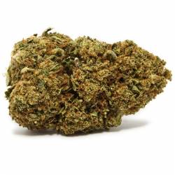 Fleur de CBD greenhouse Bubble Gum, pas cher