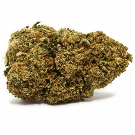 Fleur de CBD greenhouse Bubble Gum, pas cher