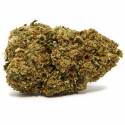 Bubble Gum