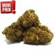 Small Bud CBD Strawberry, pas cher