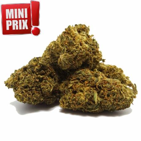 Small Bud CBD Strawberry, pas cher