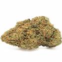 Zkittles indoor