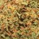 Fleurs de CBD Zkittles, qualité & prix
