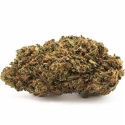 Gorilla Glue CBDV, pas cher 