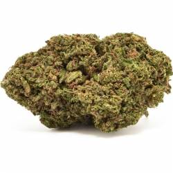  Fleurs de CBD Buddha Cheese, puissante pas cher