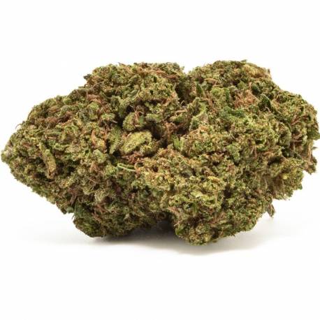  Fleurs de CBD Buddha Cheese, puissante pas cher