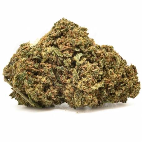 Fleurs de CBD Cookie Kush, puissante pas cher