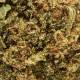 Fleurs de CBD Cookie Kush greenhouse, qualité & prix