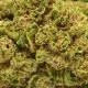 Fleurs CBD Small buds Candy Kush indoor