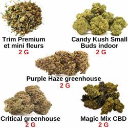 Pack discount 10 g – Fleurs de CBD