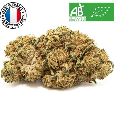 Fleur White CBG, CBD bio