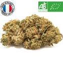 White CBG BIO greenhouse