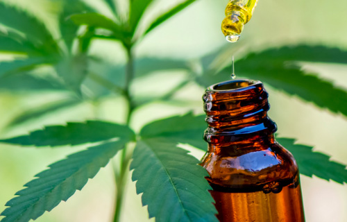 Huile de CBD - MyShopCBD