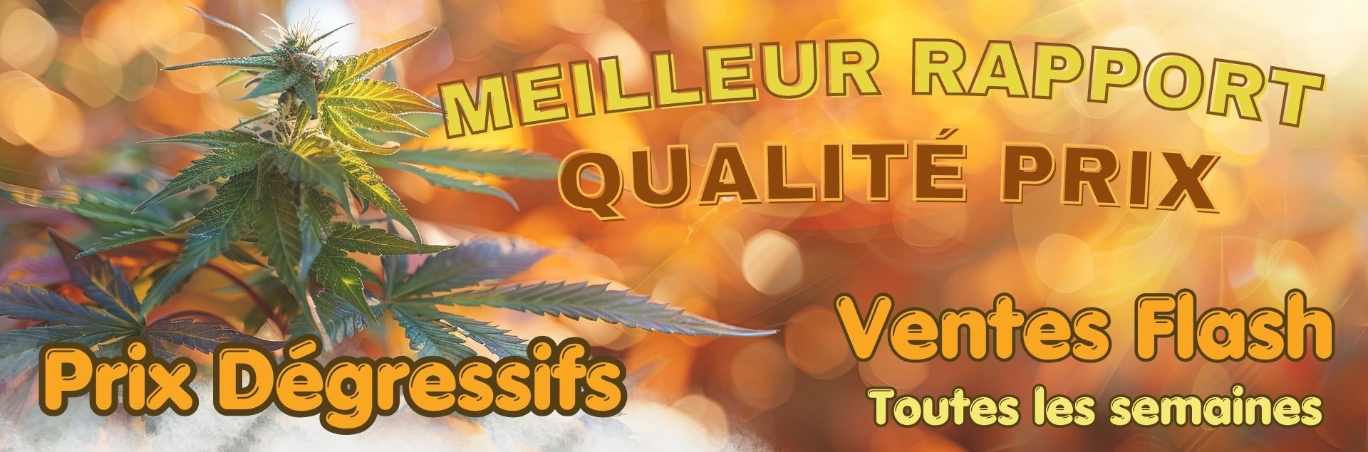 My Shop CBD - Boutique CBD pas cher